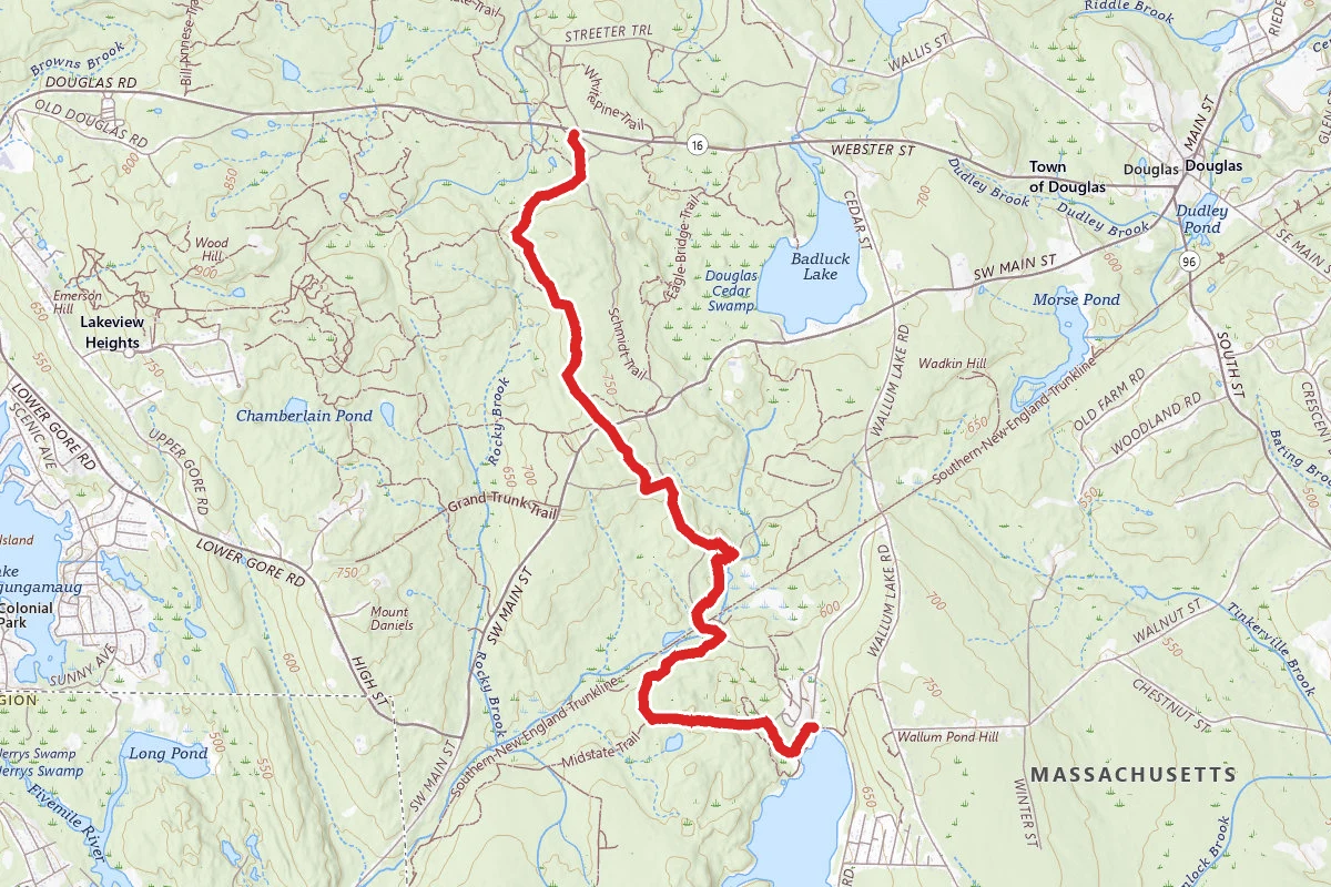 Midstate Trail through Douglas State Forest