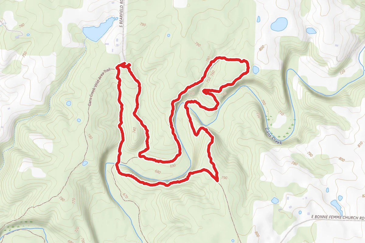 Gans Wild Area Northeast Loop