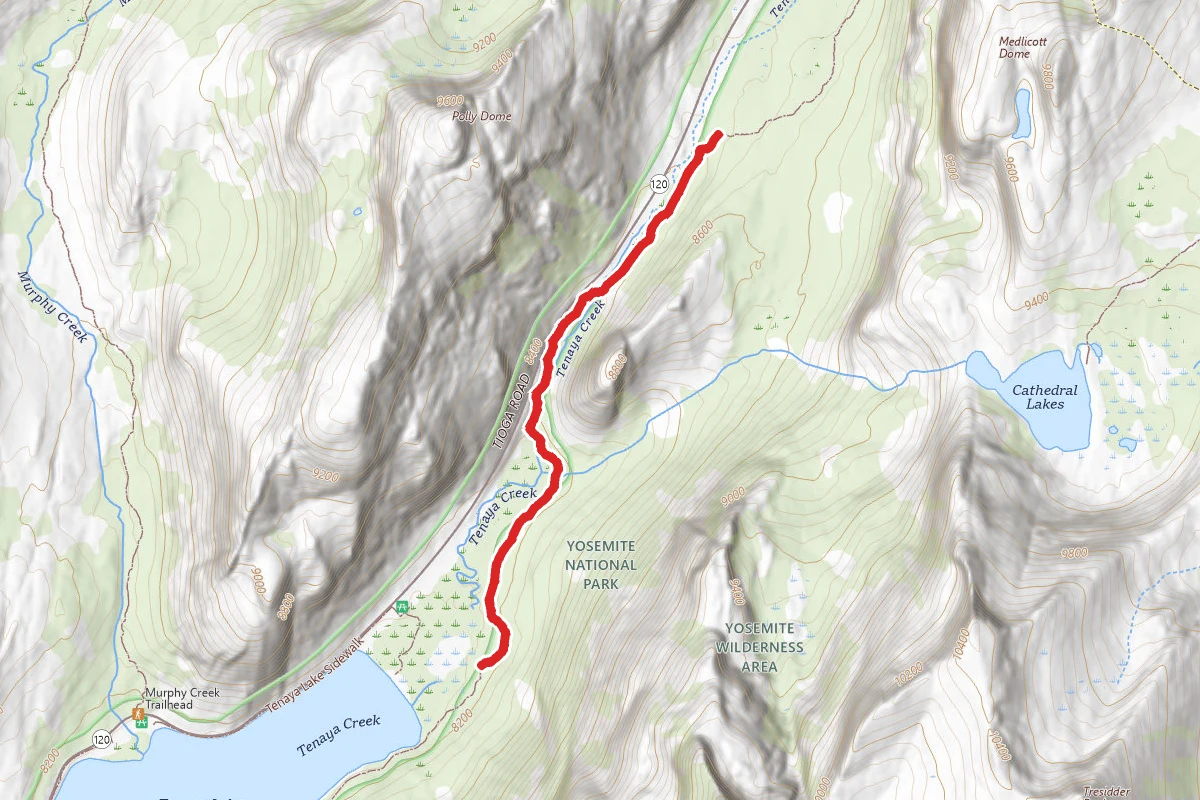 Tenaya Lake Trail