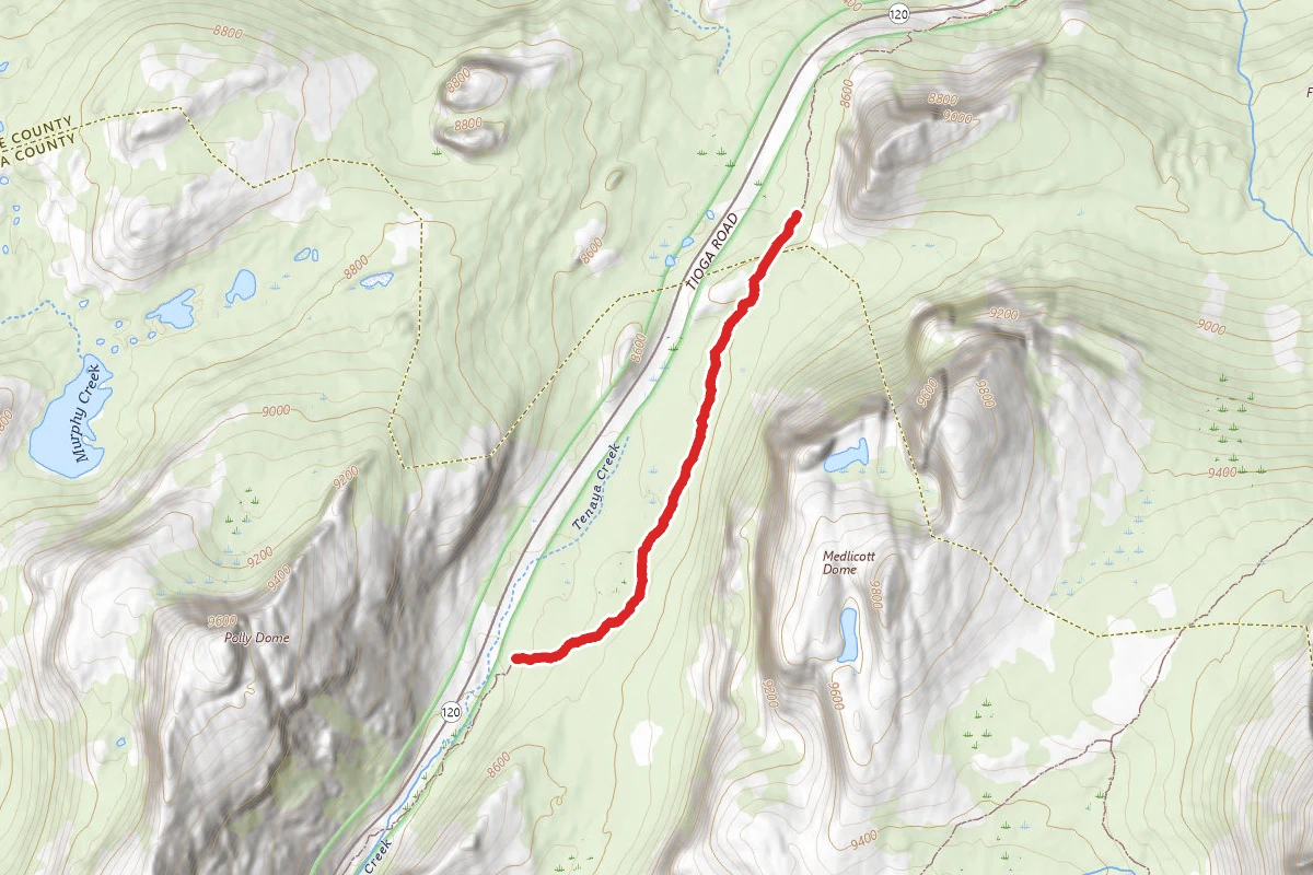 Tenaya Lake Trail