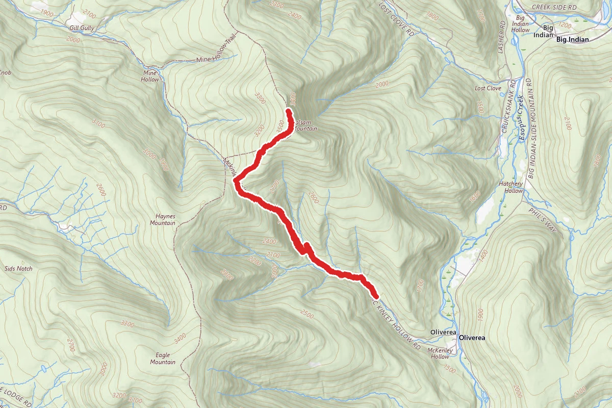 Balsam Mountain Via Oliverea-Mapledale and Pine Hill-West Branch Trail