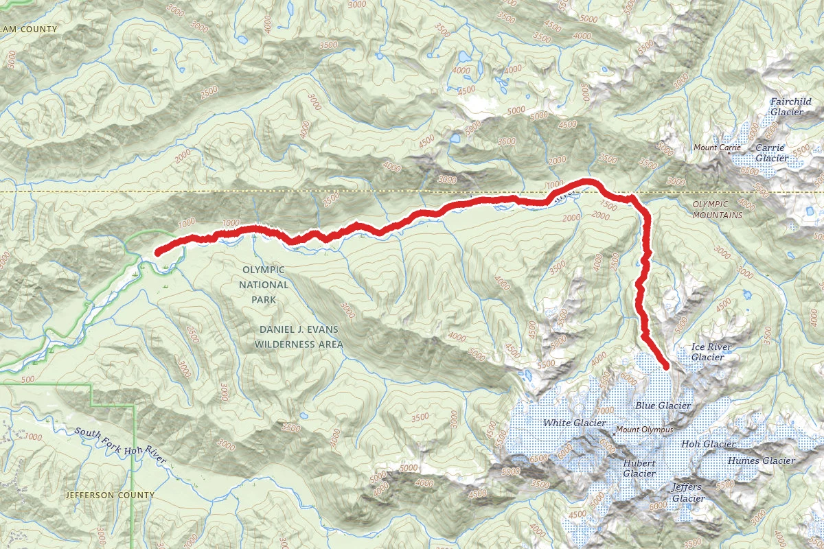 Hoh River Trail to Blue Glacier Trail