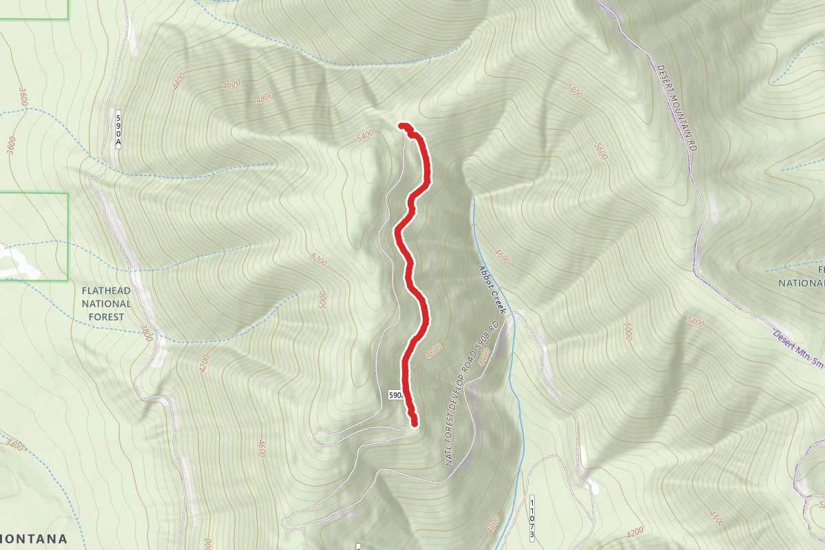 P-Line Trail