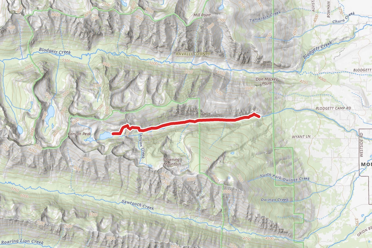 Canyon Lake Trail