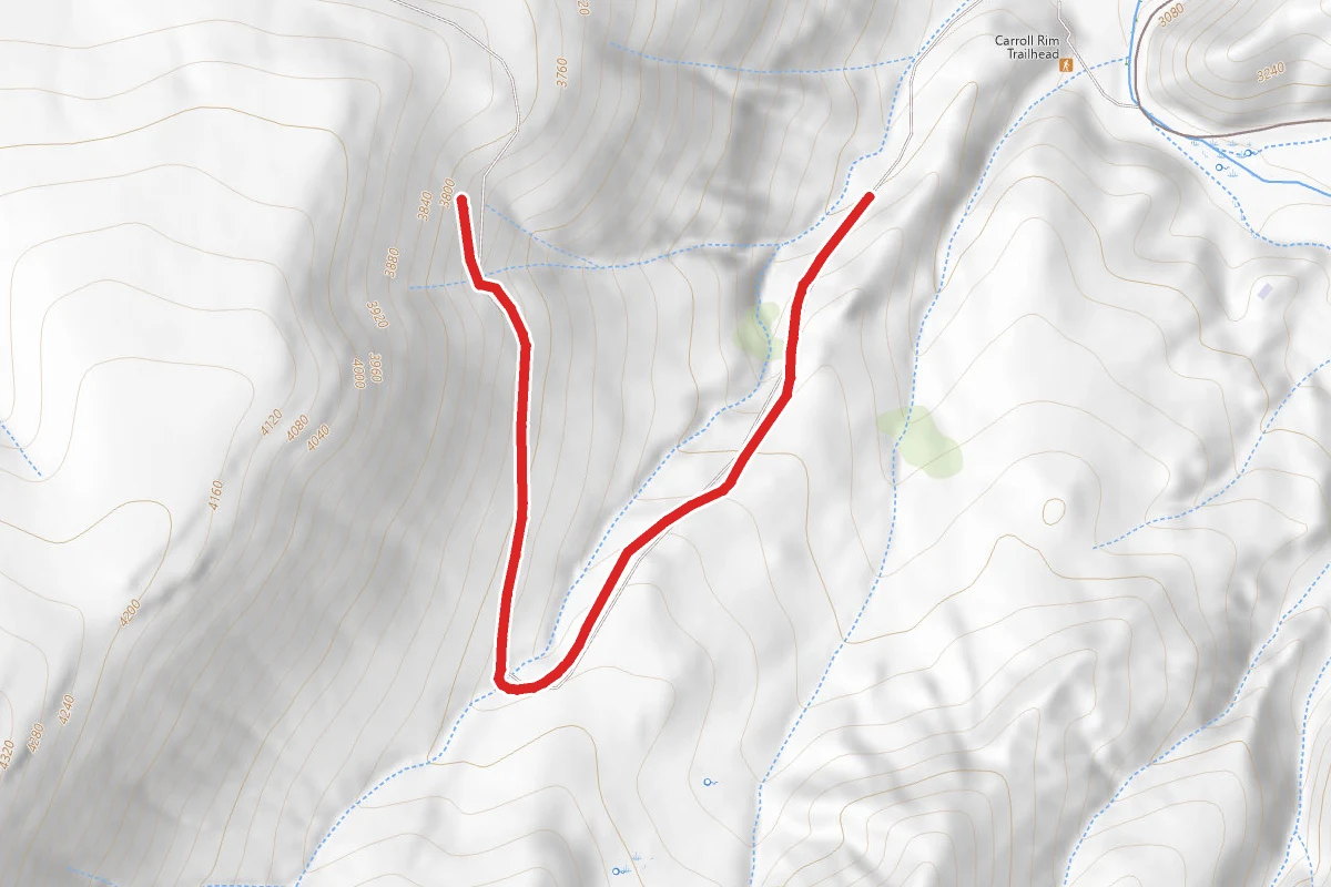 Sutton Mountain Trail