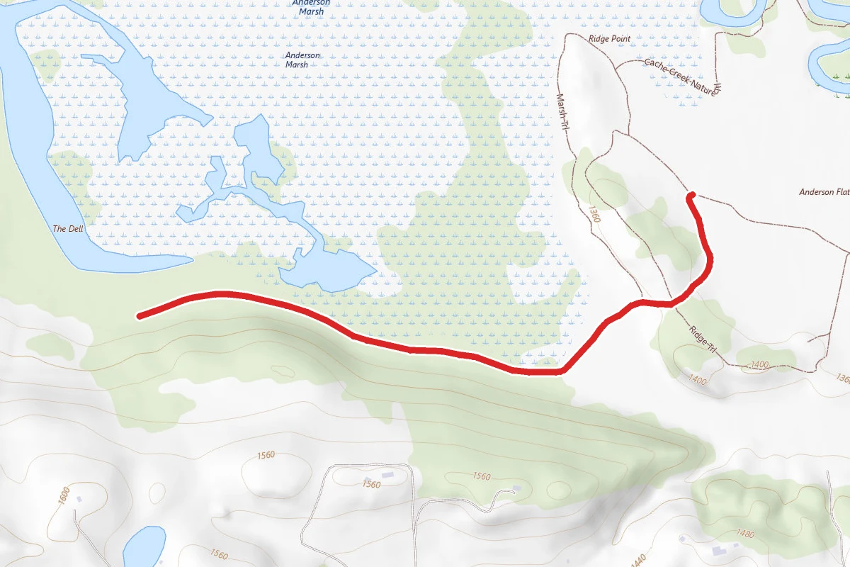 McVicar Trail