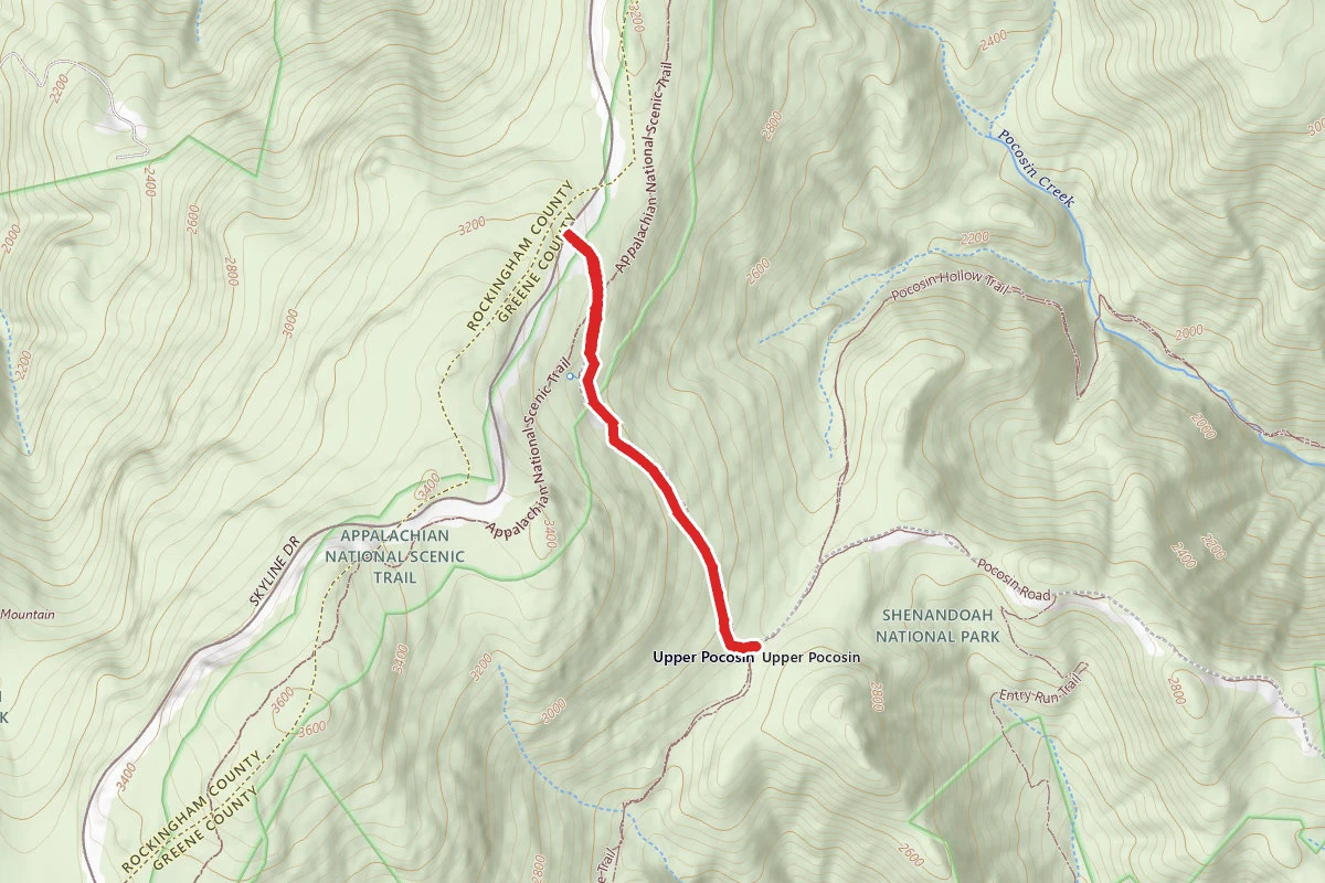 Pocosin Trail