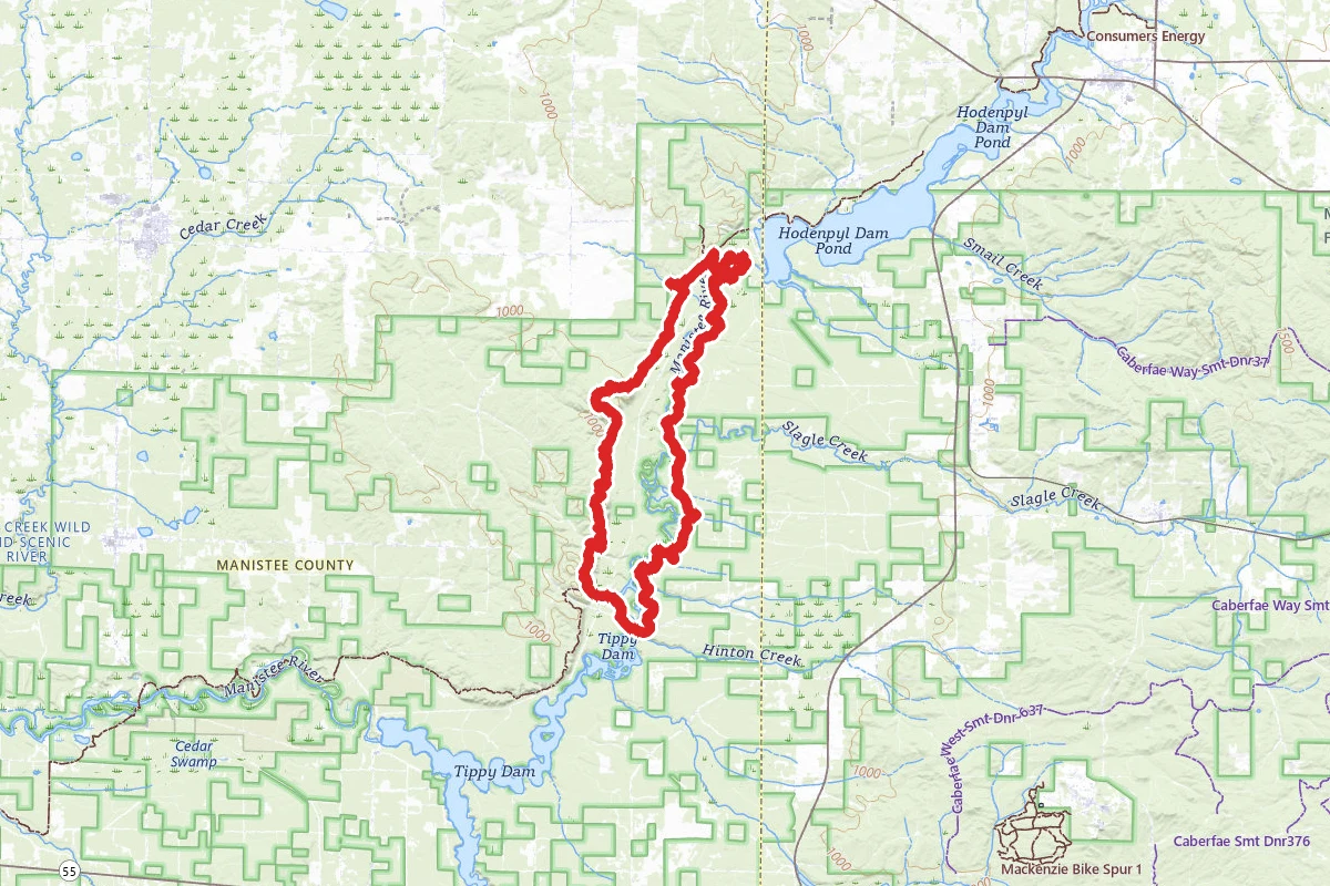 The Manistee River Loop Trail