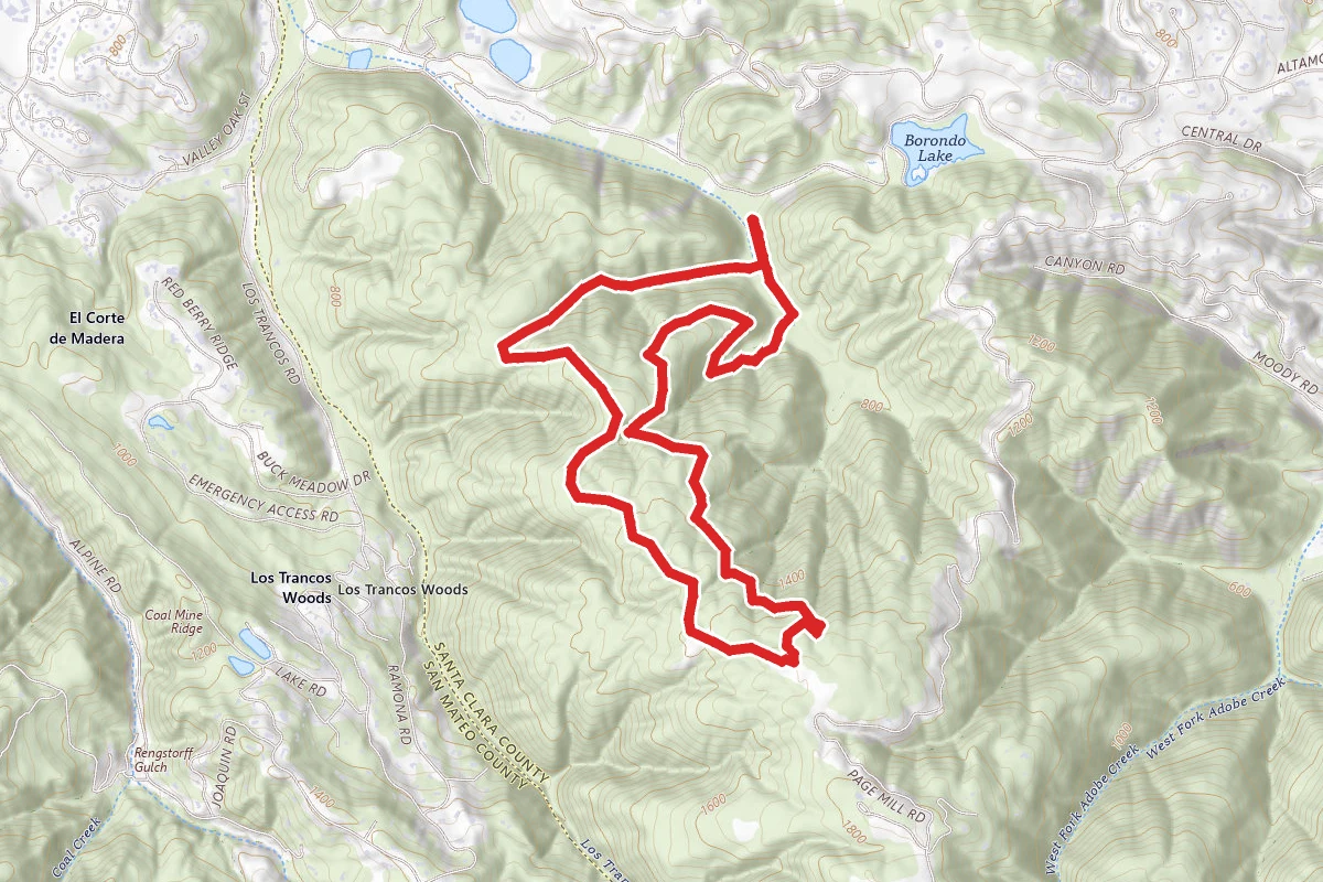 Los Trancos, Trappers Fire Road and Steep Hollow Loop