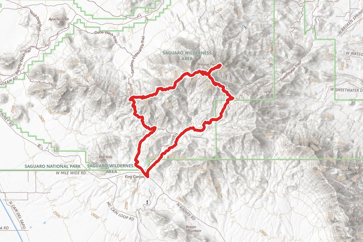 Wasson Peak via King Canyon and Hugh Norris Trail