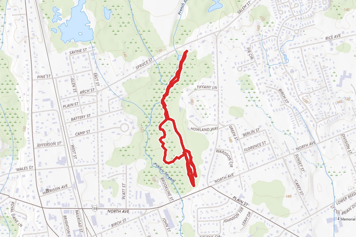 Rockland Town Forest