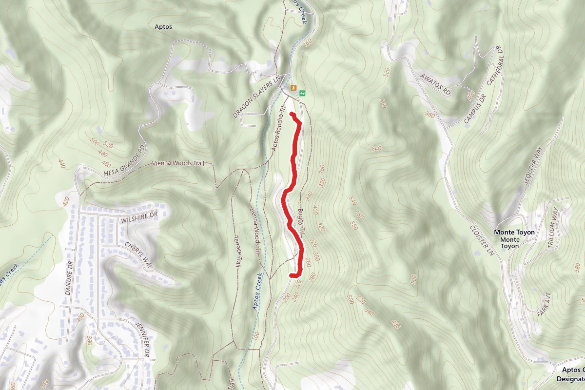 Buggy Trail