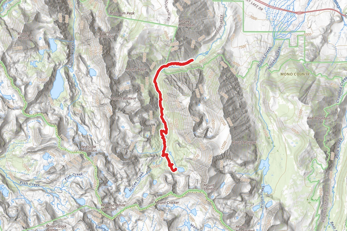 Steelhead Lake via McGee Pass Trail