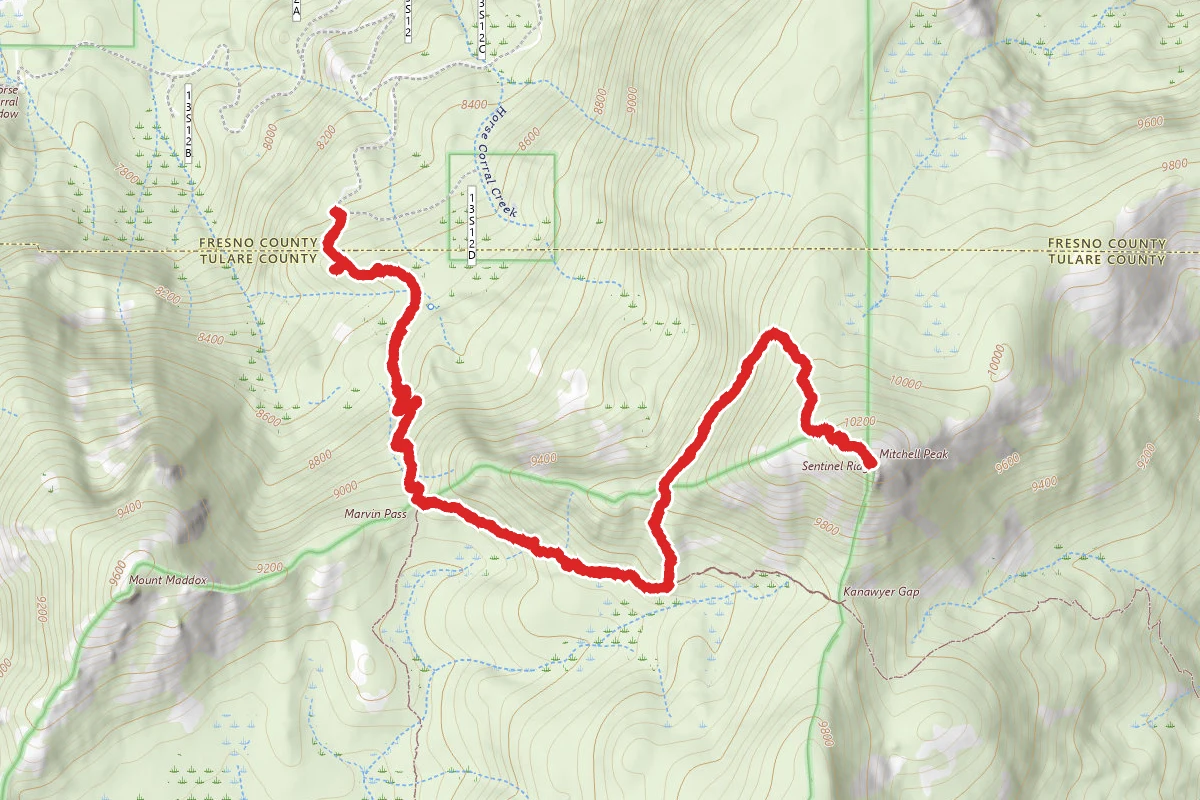 Mitchell Peak Trail