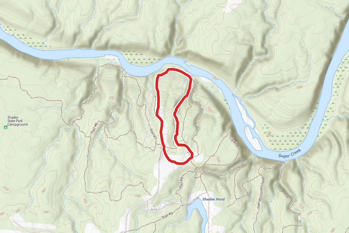 Shades State Park Trail #4