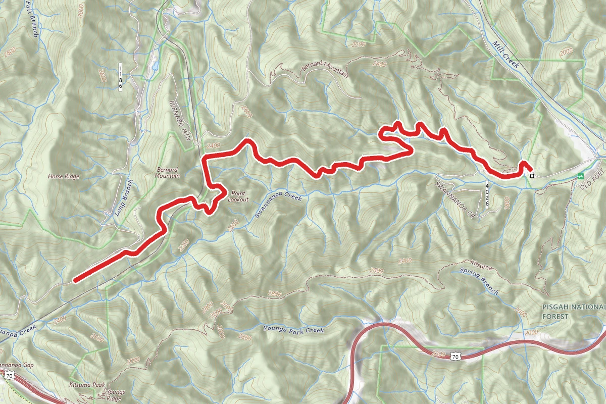 Lookout Trail