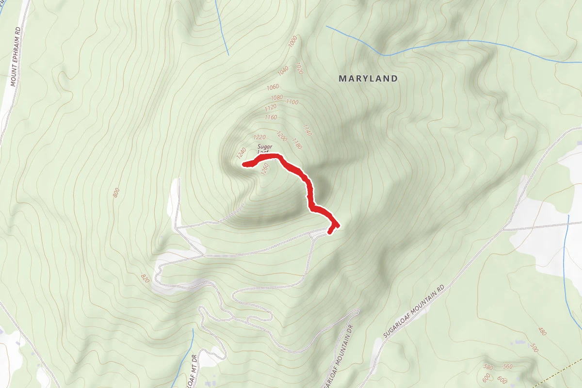 The Sunrise Trail to Sugarloaf Mountain
