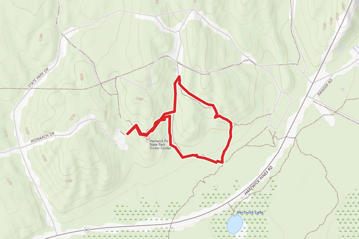 Hartwick Pines Loop