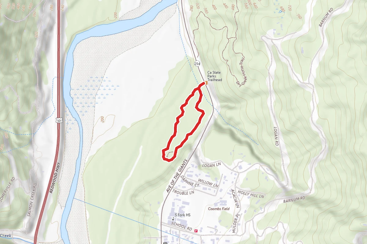 Stephens Grove Loop Trail
