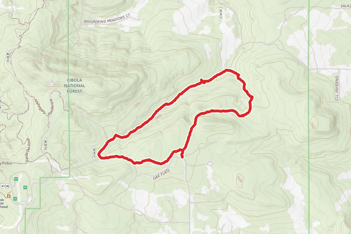 Ponderosa Trail Loop
