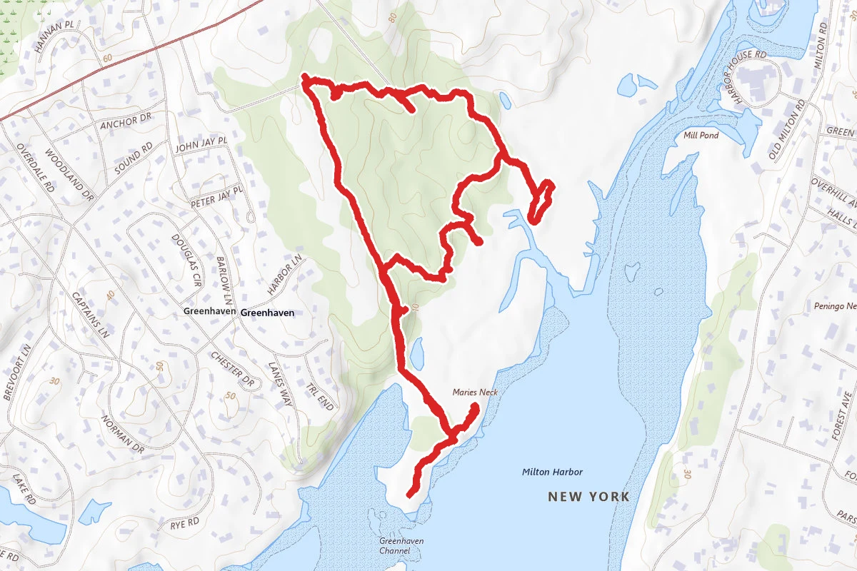 Marshlands Conservancy Loop