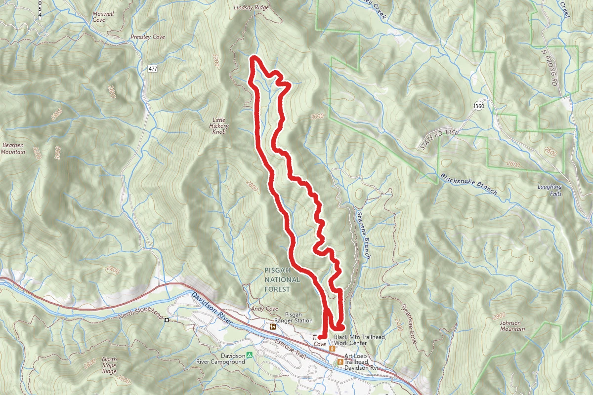 Thrift Cove Loop Trail