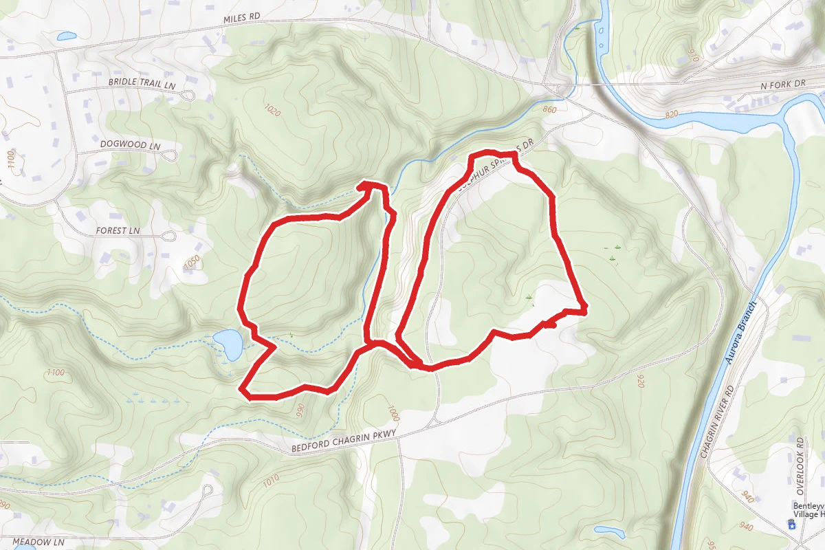 Bridle Trail Loop