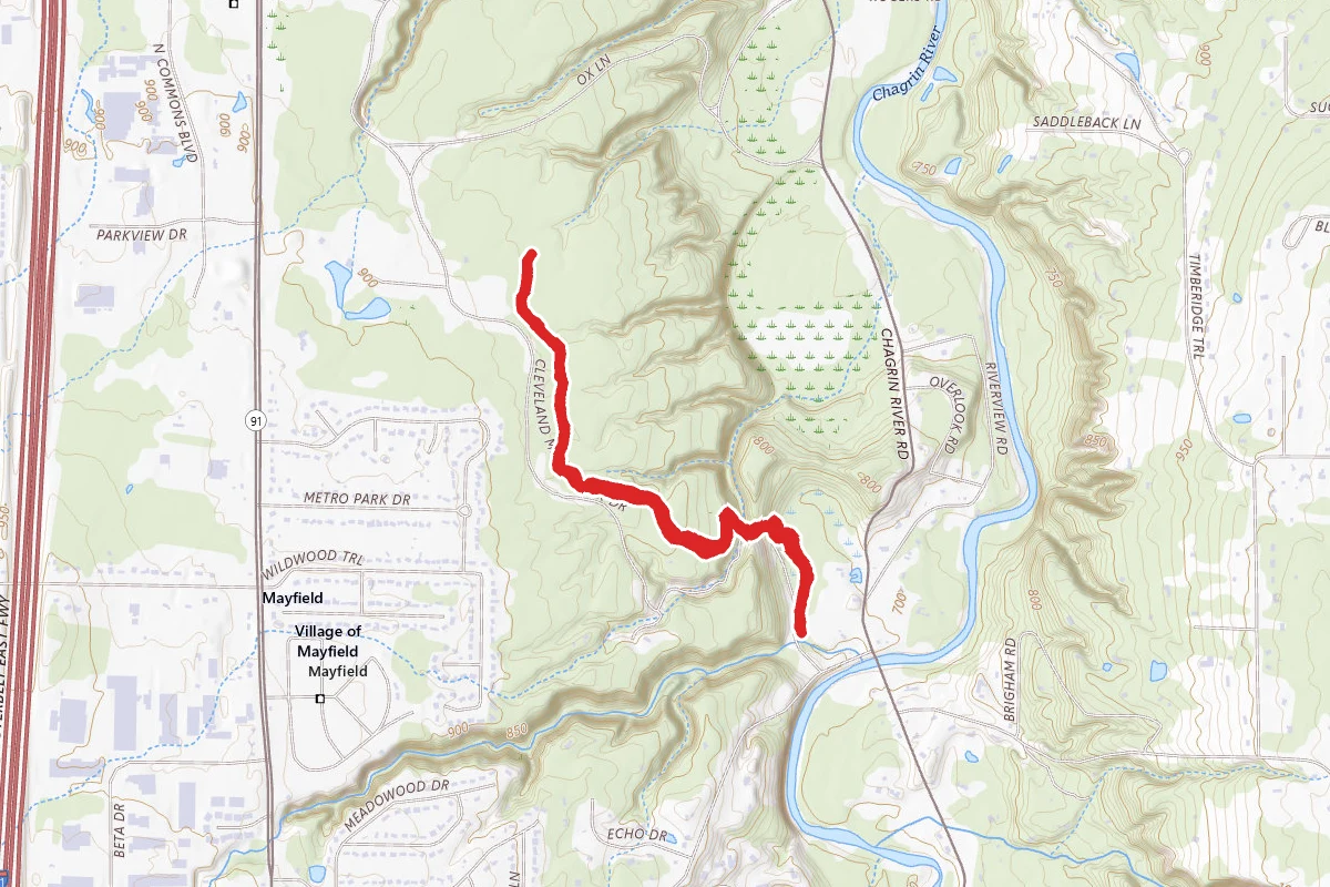 Bridle Trail
