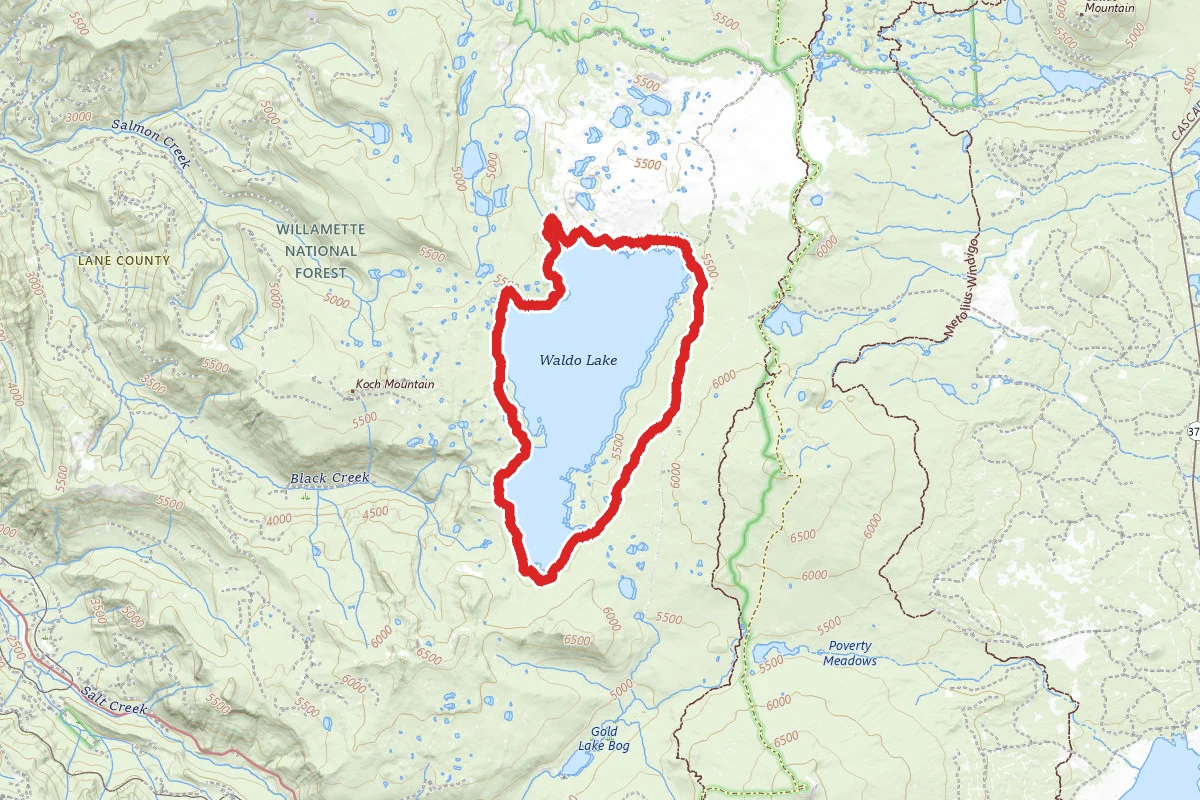Waldo Lake Trail