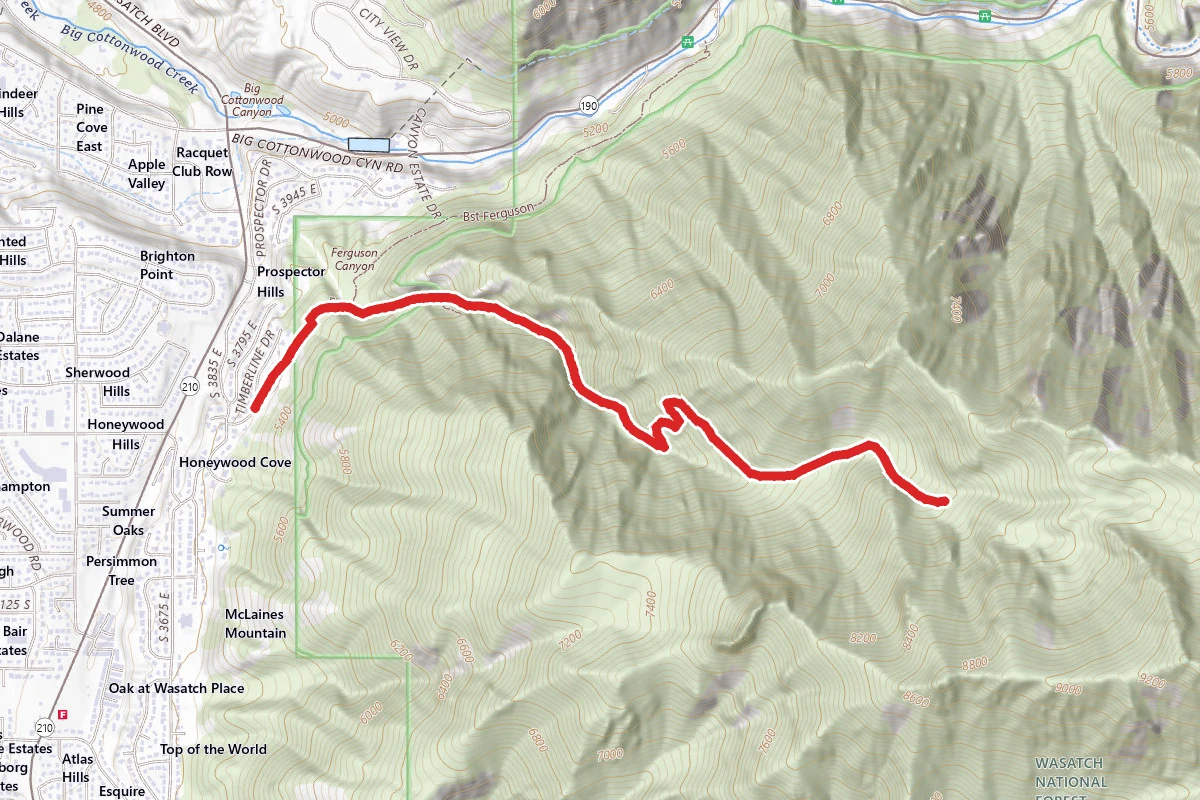 Ferguson Canyon Trail to Upper Meadow