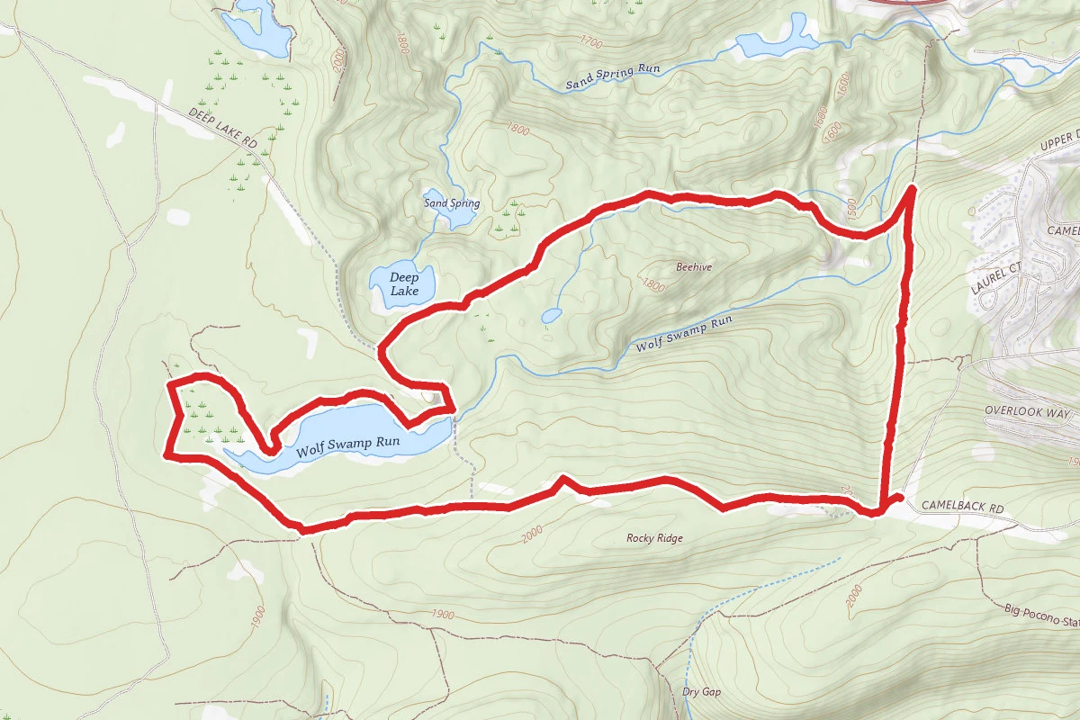 Wolf Swamp and Deep Lake Trails Loop