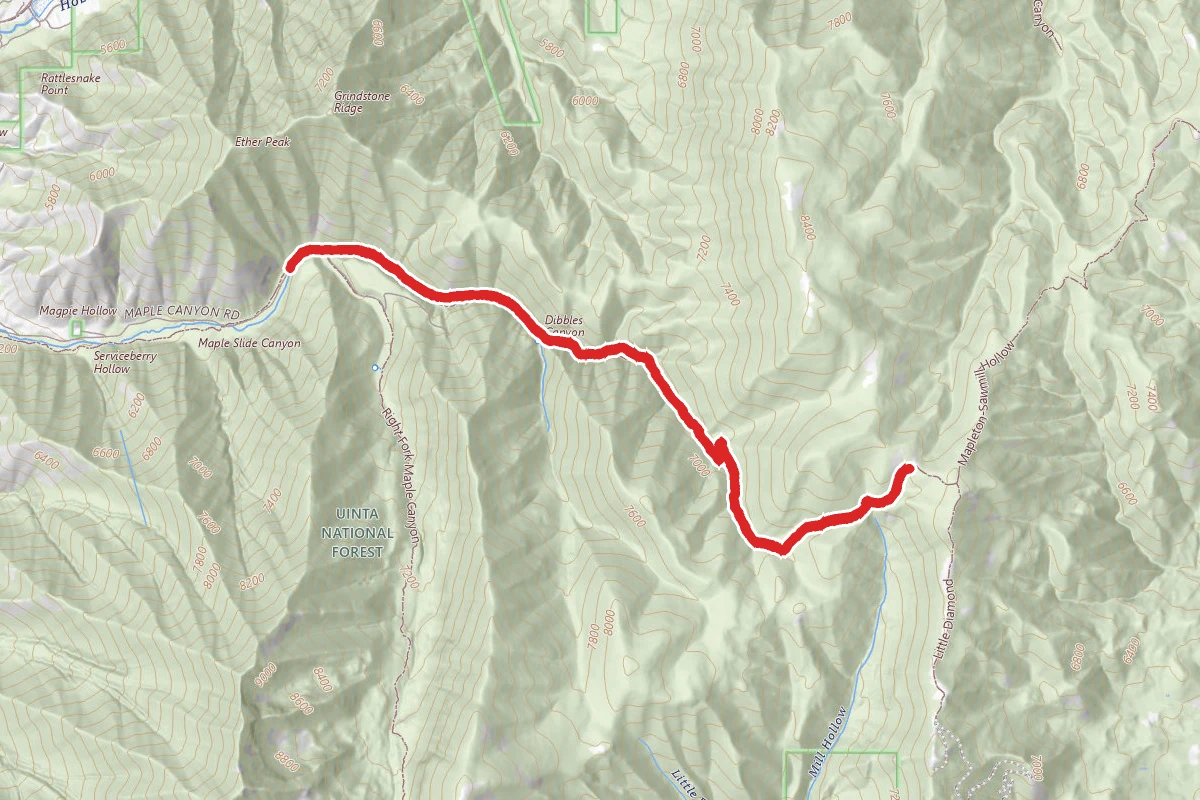 Maple Canyon Left Fork Trail