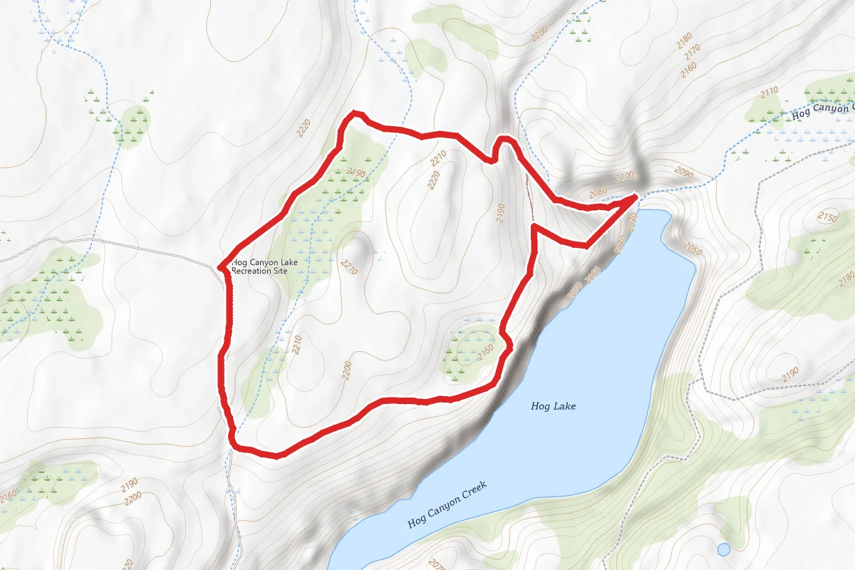 Hog Lake Loop