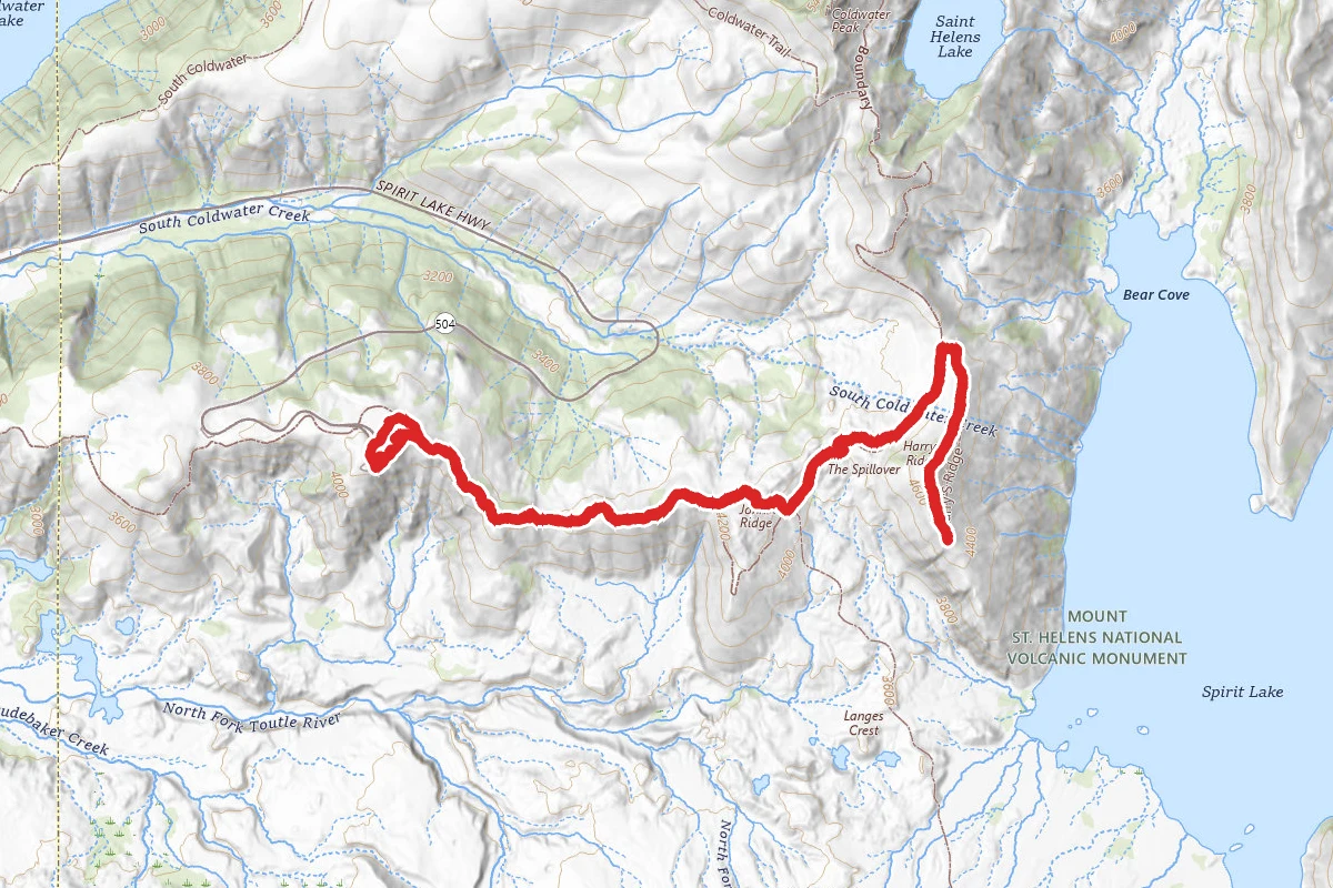 Harry's Ridge Trail