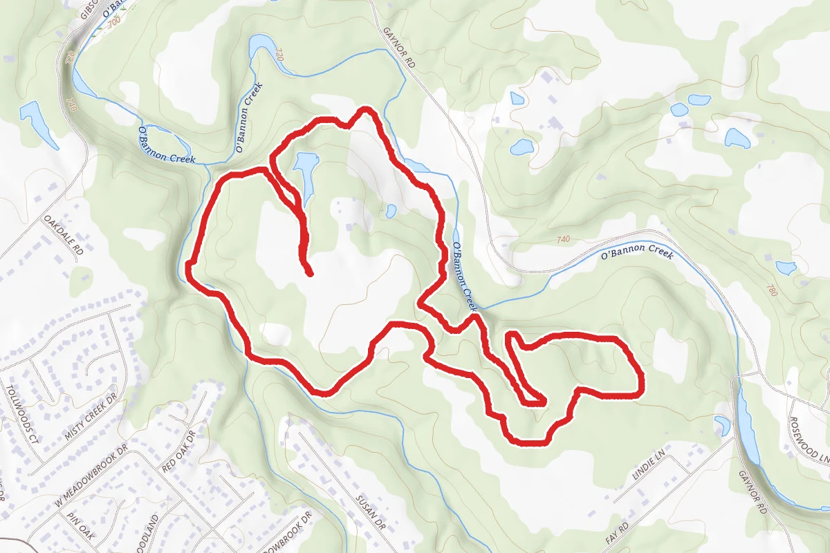 Barred Owl, Woodpecker, and Salamander Trail