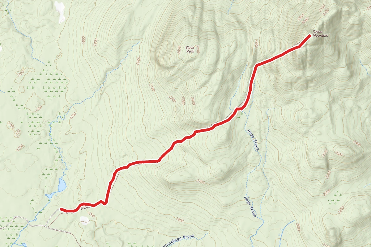 Debar Mountain Trail