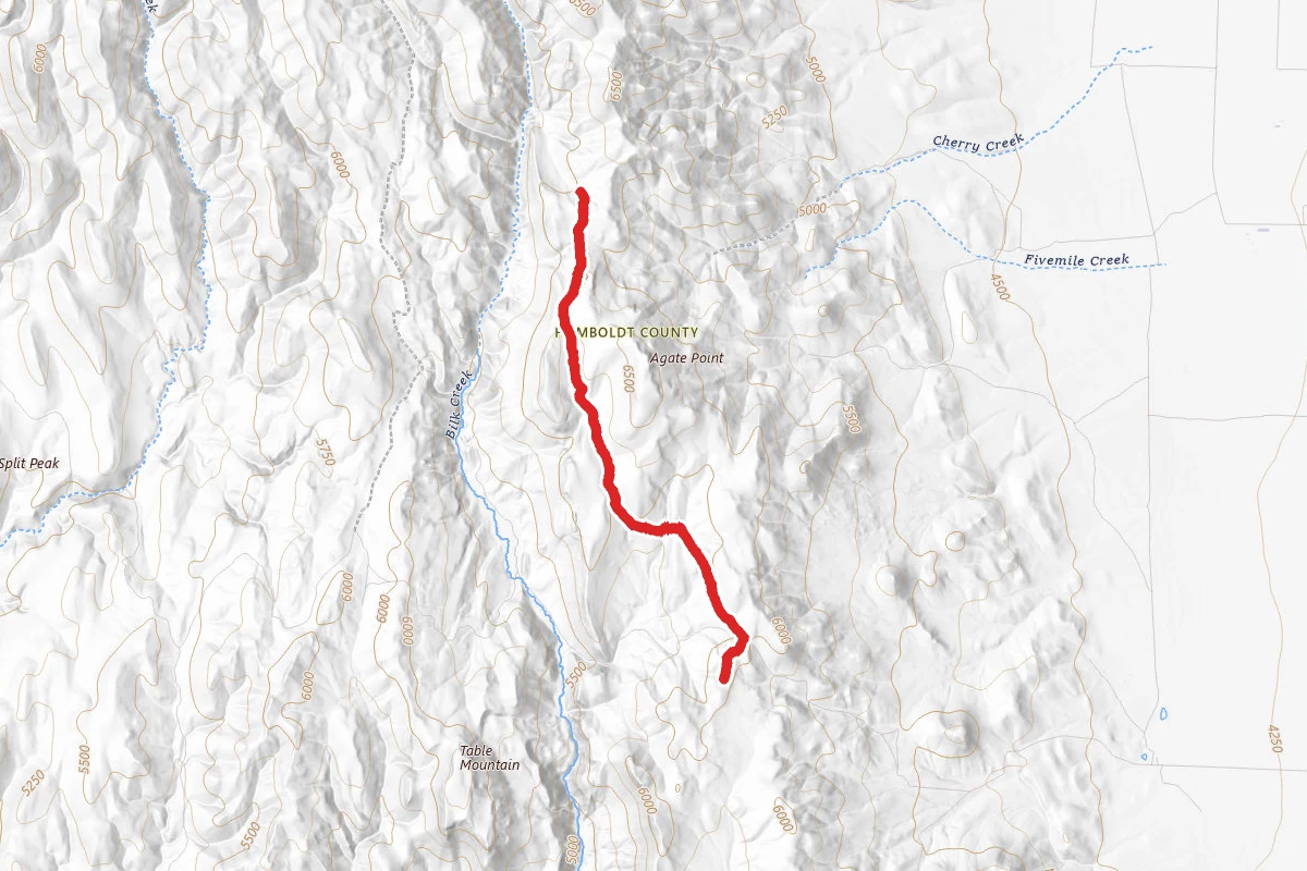 Bad Trail