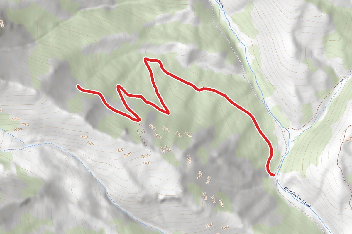 Aura King Trail