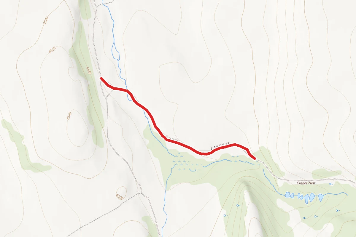 Damon Trail