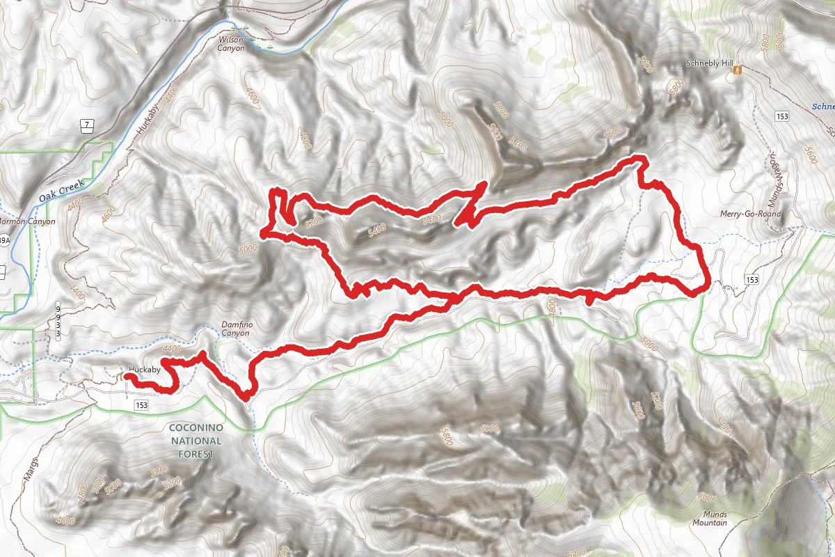 Munds Wagon, Cow Pies and Hangover Loop Trail