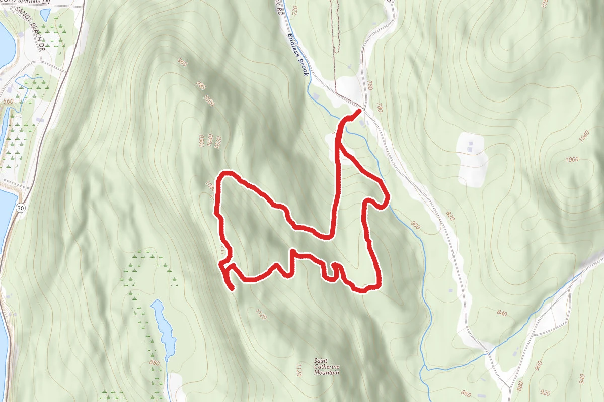 Lewis Deane Loop