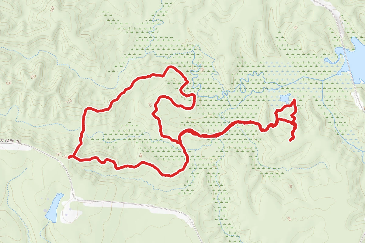 Arboretum Loop