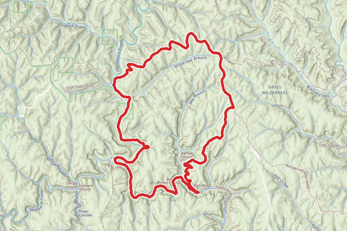 Sipsey Loop Trail