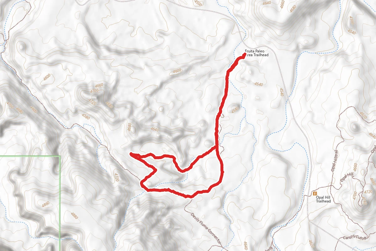 Skinner Cabin Trail