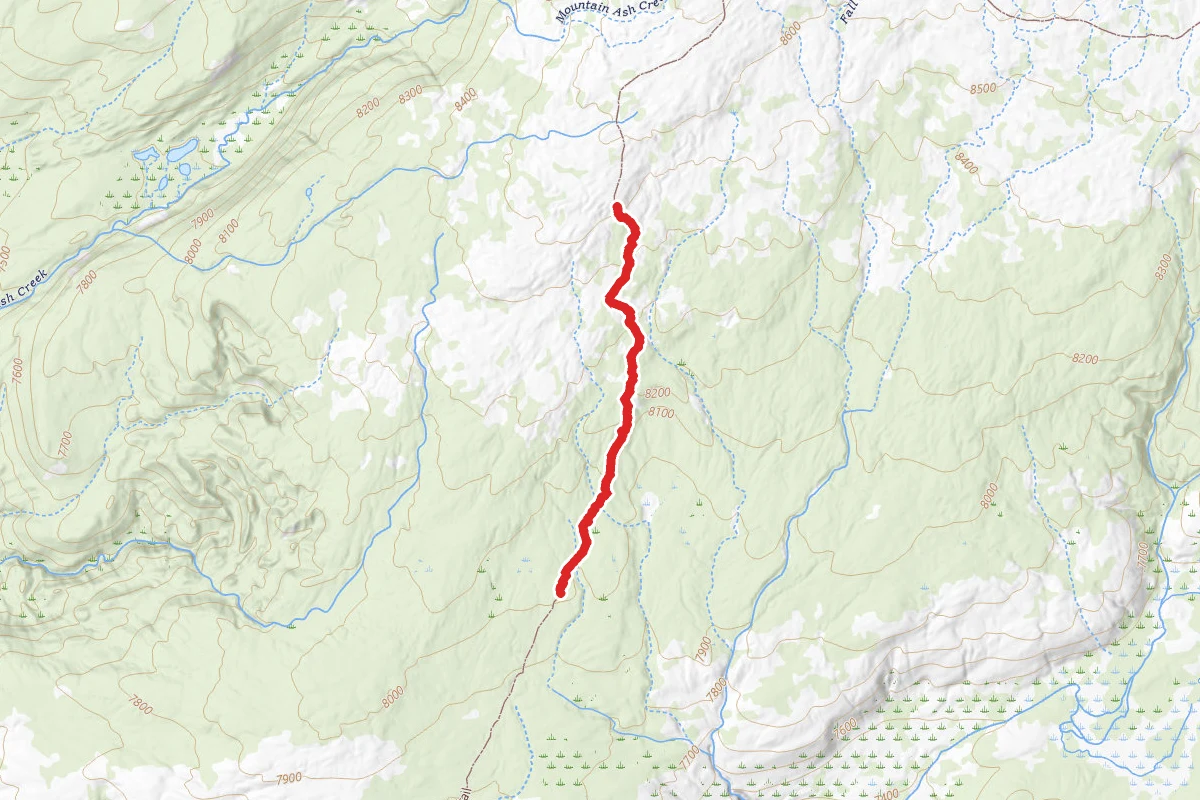 Pitchstone Plateau Trail