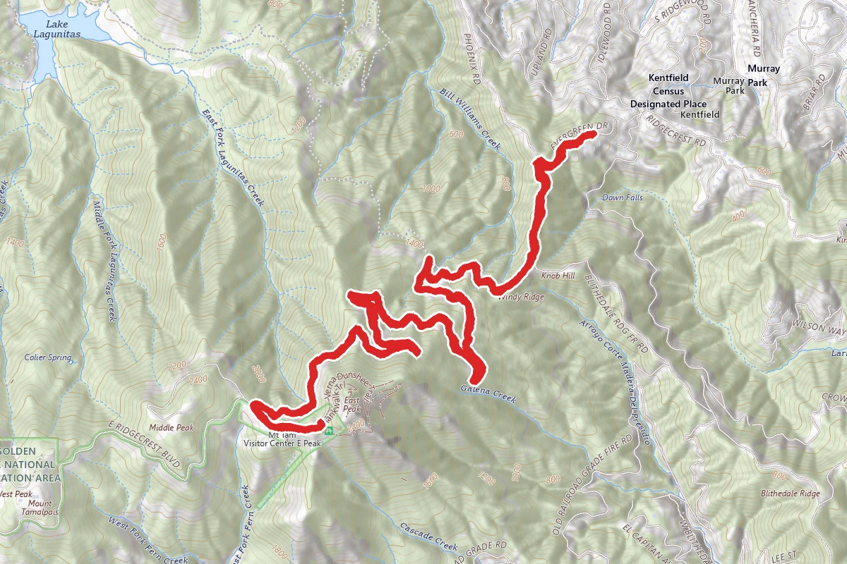 Kent Woodlands to Mount Tamalpais East Peak