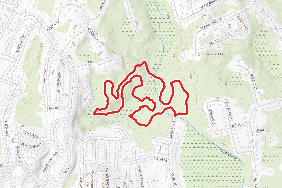 Finch Brook Loop