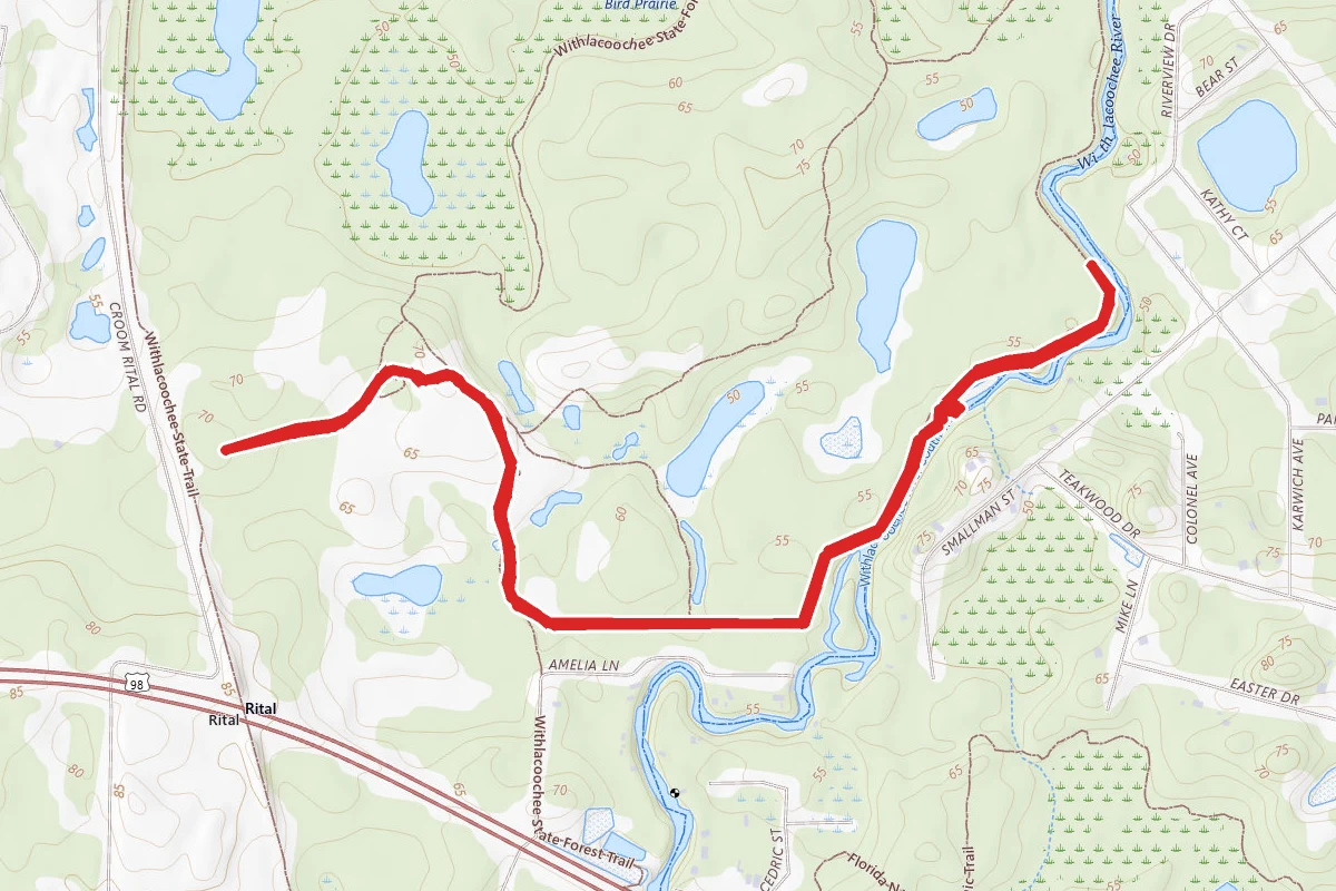 Withlacoochee River Trail