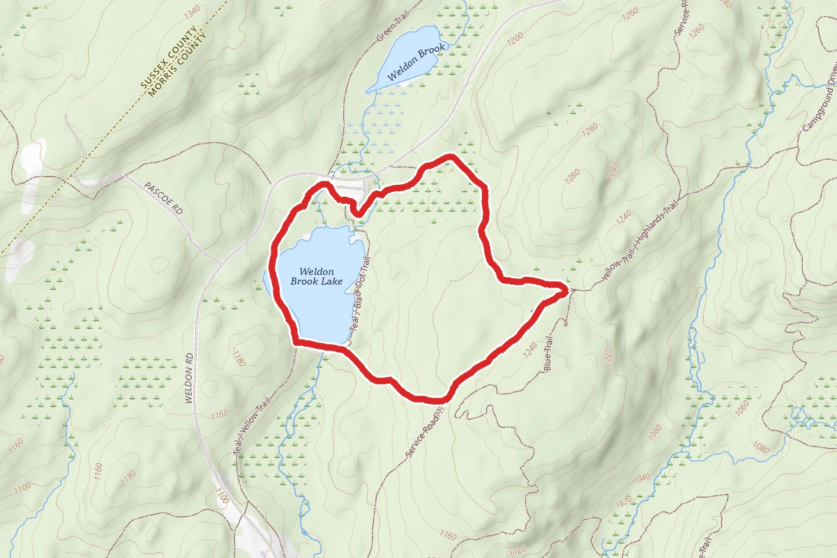 Weldon Brook Lake Loop via Yellow Trail