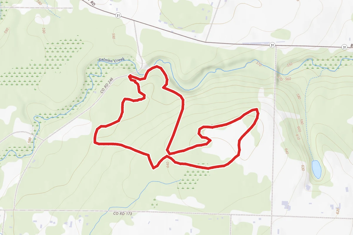 Northampton Park Unnamed Trails